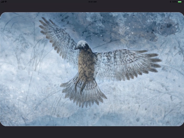 Animal Totems Empowerment Deck