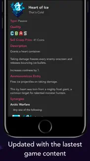 guide + for enter the gungeon iphone screenshot 2