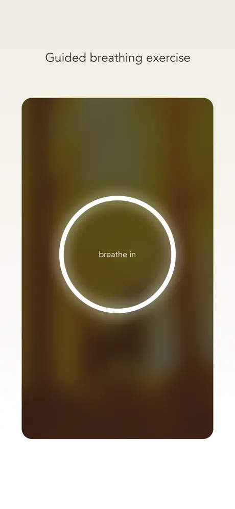 Cumo Expense Tracker