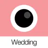 Analog Wedding App Feedback