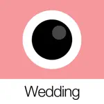 Analog Wedding App Contact