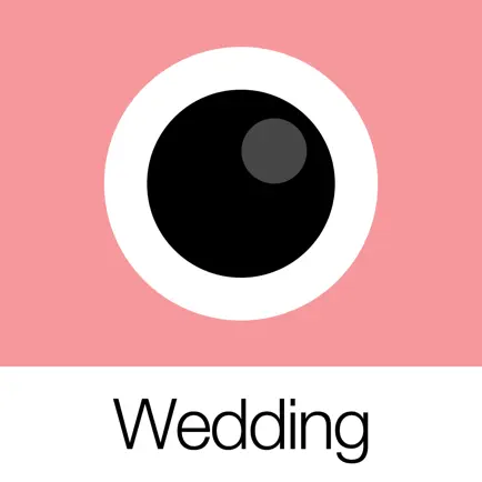 Analog Wedding Cheats