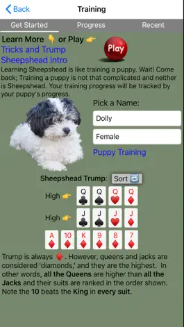 Game screenshot K9 Sheepshead: Schafkopf Cards apk