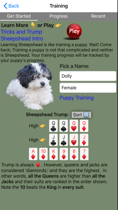 K9 Sheepshead: Schafkopf screenshot 2