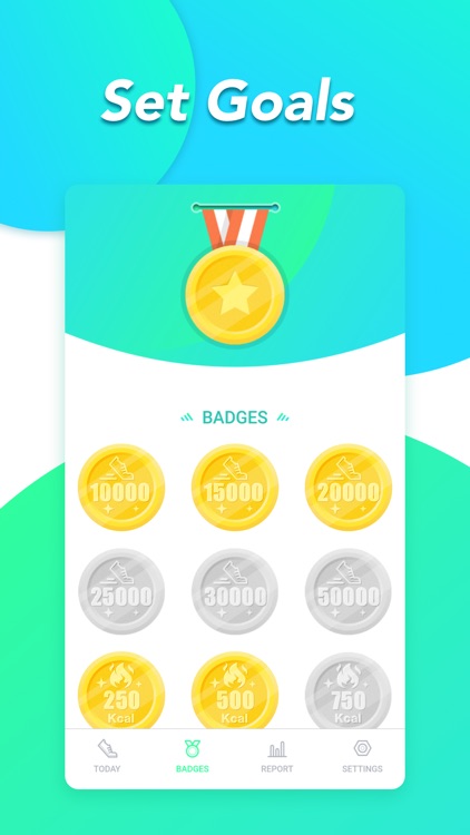 Mini Pedometer