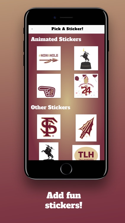 FSU Class of 24 Selfie Stikis