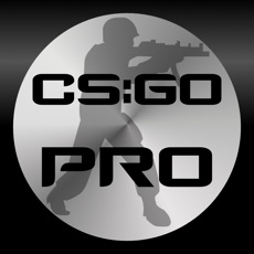 Activities of Pro Guide for CSGO