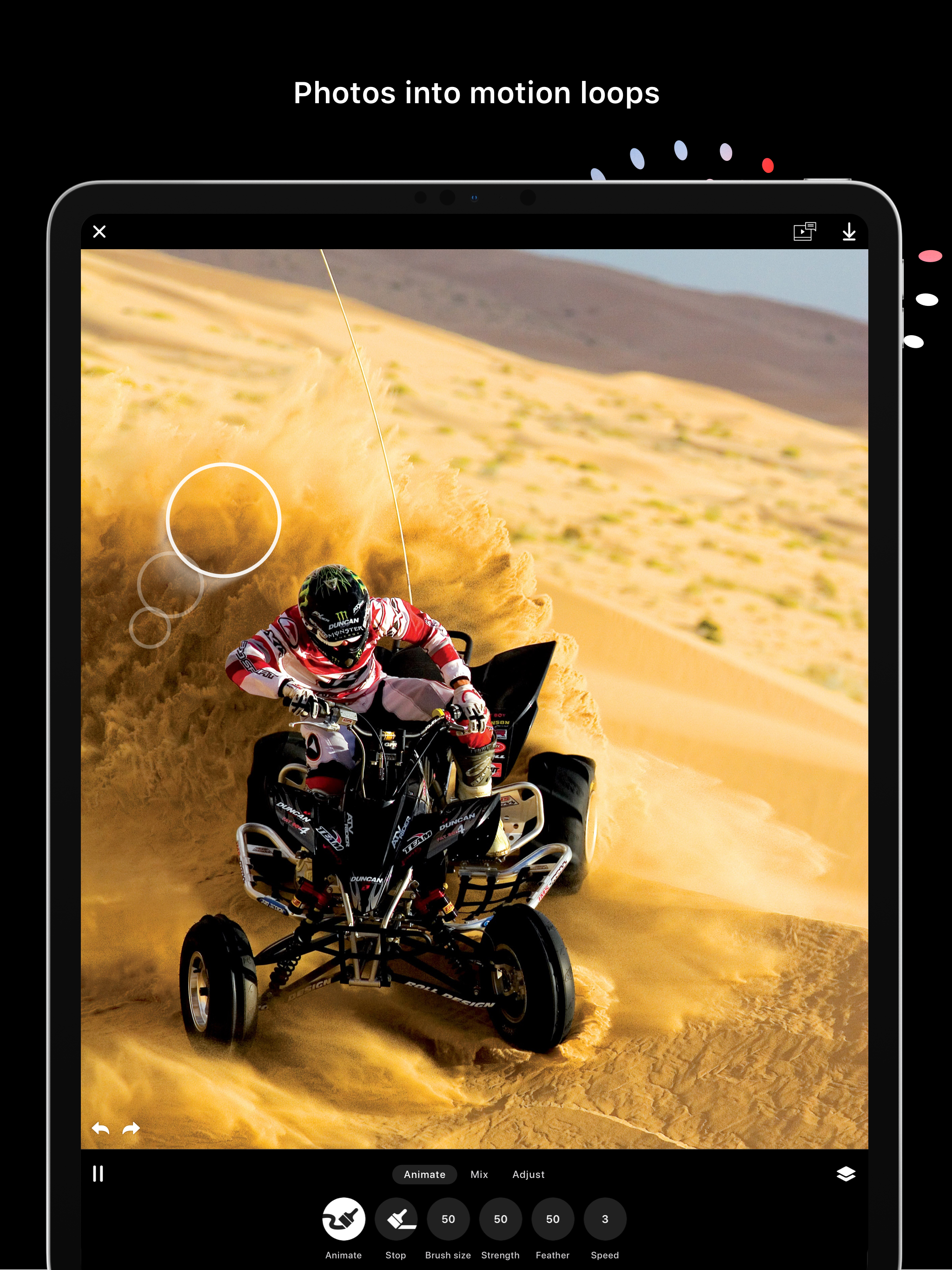 Disflow - Motion Image Editor screenshot 10