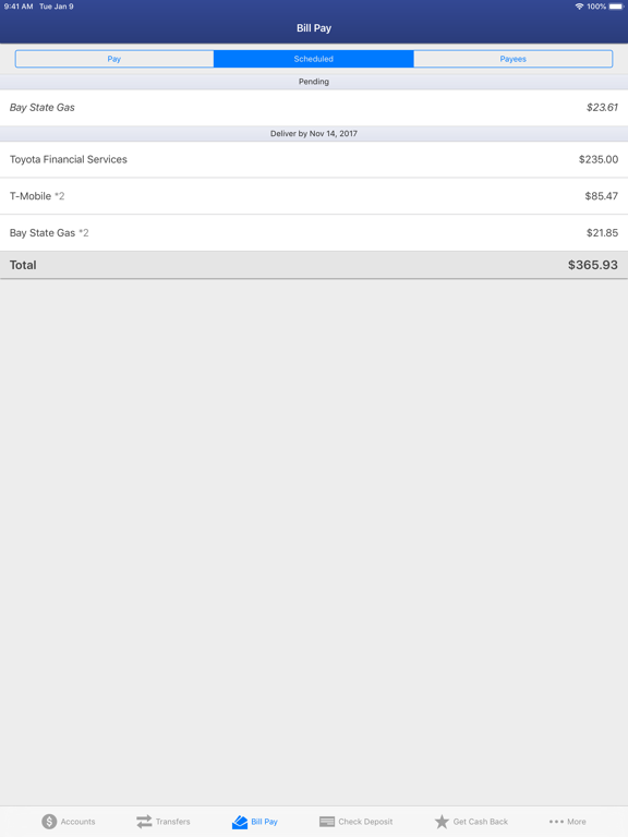 Family First of NY FCU iPad screenshot 6 - Finance app