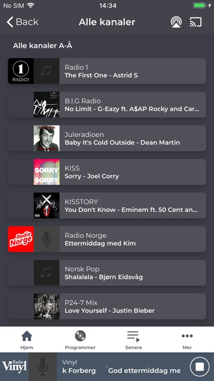 Radio Vinyl screenshot-5