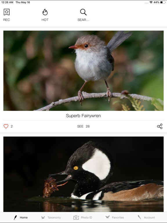 Bird ID Pro-Picture&Audioのおすすめ画像1