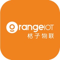 桔子物联 pour PC