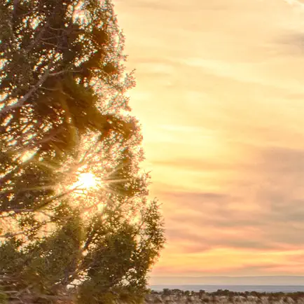 Coming Light Читы