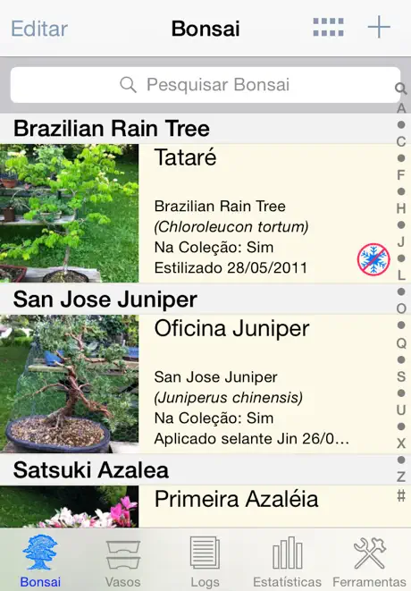 Álbum Bonsai