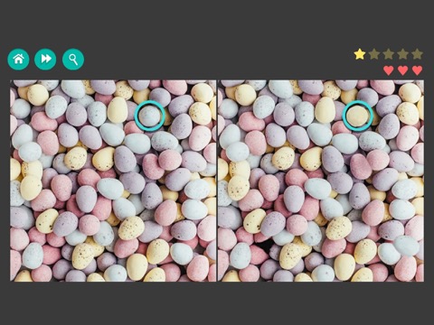 写真の違いを見つける-ハードのおすすめ画像3