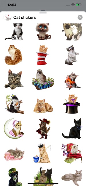 Stickers cats - 50 pcs