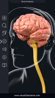 my brain anatomy iphone resimleri 1