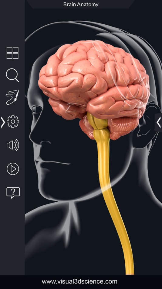 My Brain Anatomy - 1.7 - (iOS)