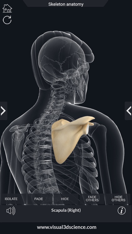 AR Skeleton Anatomy screenshot-4