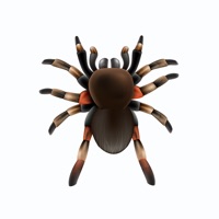 Insect Bugs Stickers apk