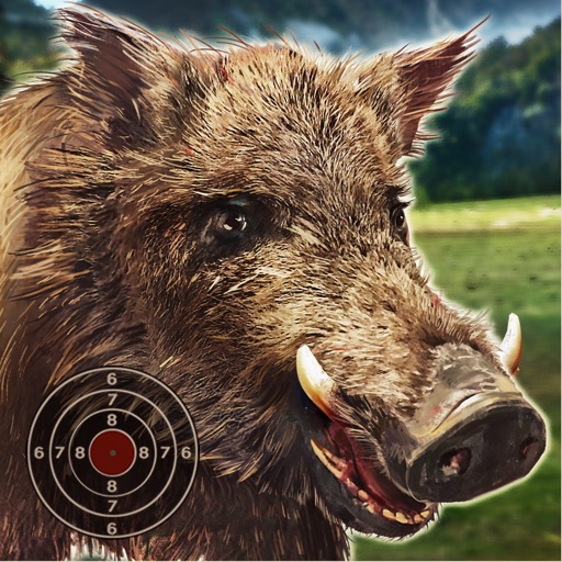 Wild Boar Target Shooting Icon