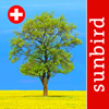 Baum Id Schweiz - Naturführer - Sunbird Images OHG