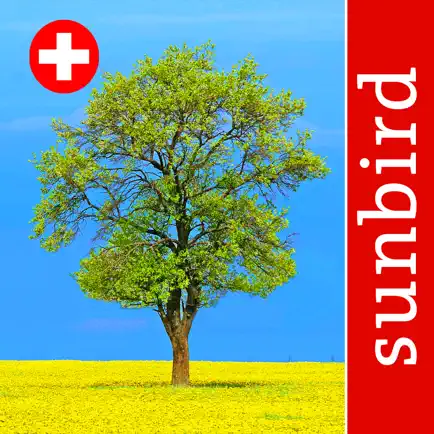 Baum Id Schweiz - Naturführer Cheats
