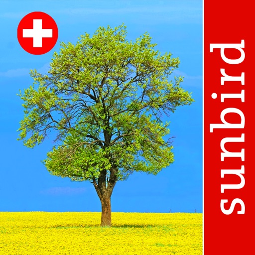 Baum Id Schweiz - Naturführer icon