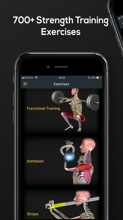 Strength by Muscle & Motion