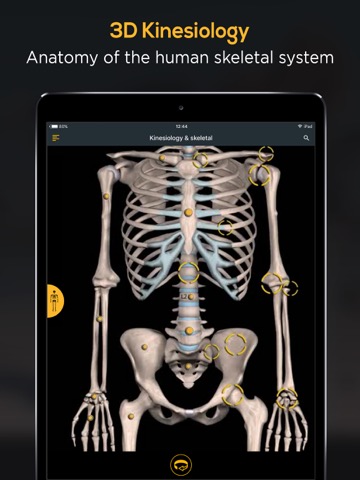 Anatomy by Muscle & Motionのおすすめ画像5