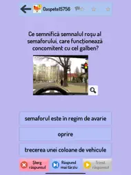 Chestionare Auto ipad bilder 3
