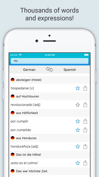 Spanish-German Dictionary + screenshot-3