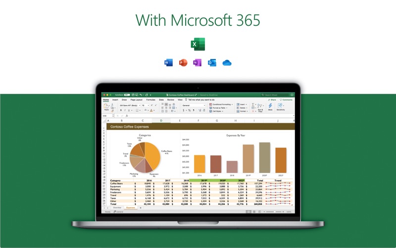 Microsoft Excel Screenshot