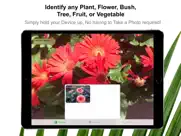 plant scan - identification айпад изображения 1