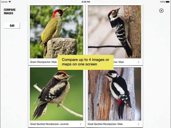 Screenshot #6 pour Birds of Britain Pro