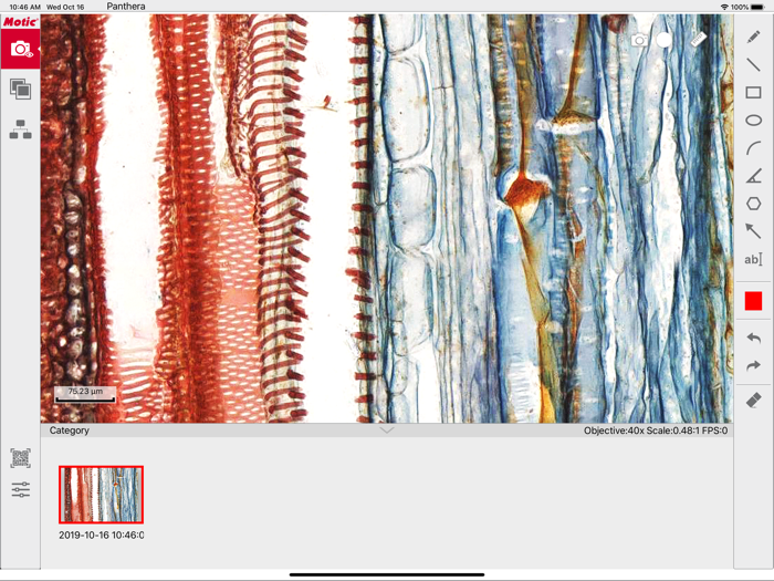 Motic Panthera Client