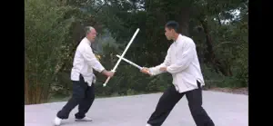 Tai Chi Sword for Beginners screenshot #3 for iPhone