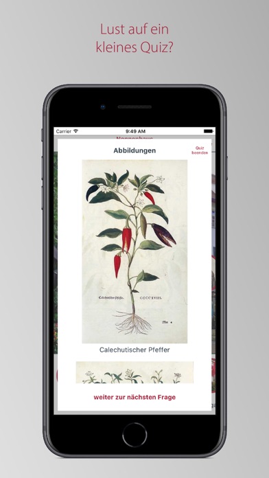 How to cancel & delete Tübinger Geschichte(n) from iphone & ipad 4
