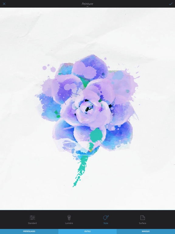 Enlight Enlight