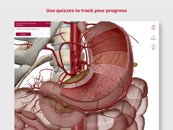 Anatomy & Physiology iPad app afbeelding 5