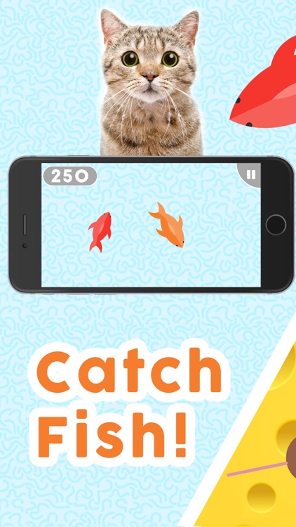 Games for Cats!