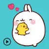 Animated Molang And Piu Piu problems & troubleshooting and solutions