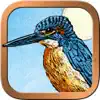 Animal Totem Tarot App Negative Reviews