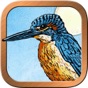 Animal Totem Tarot app download