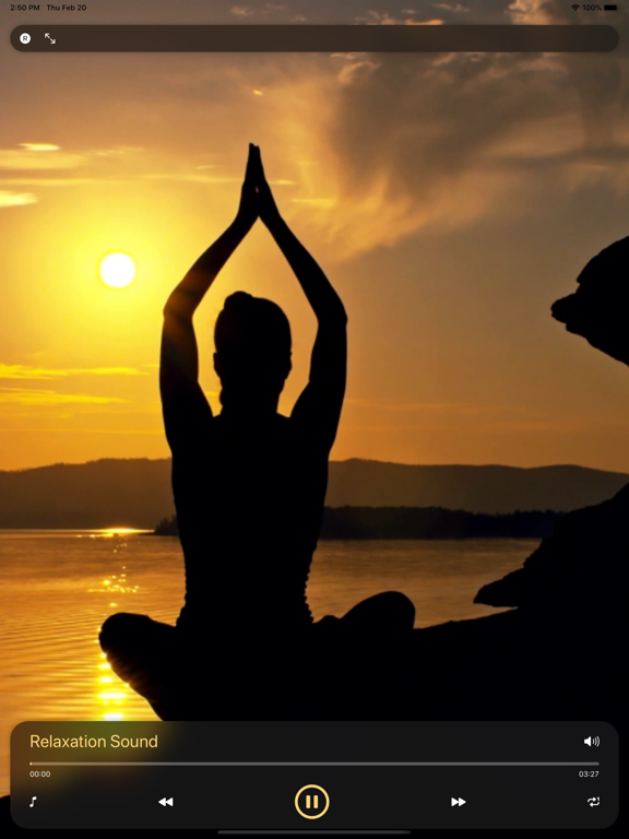 Screenshot #5 pour Méditation zazen musique