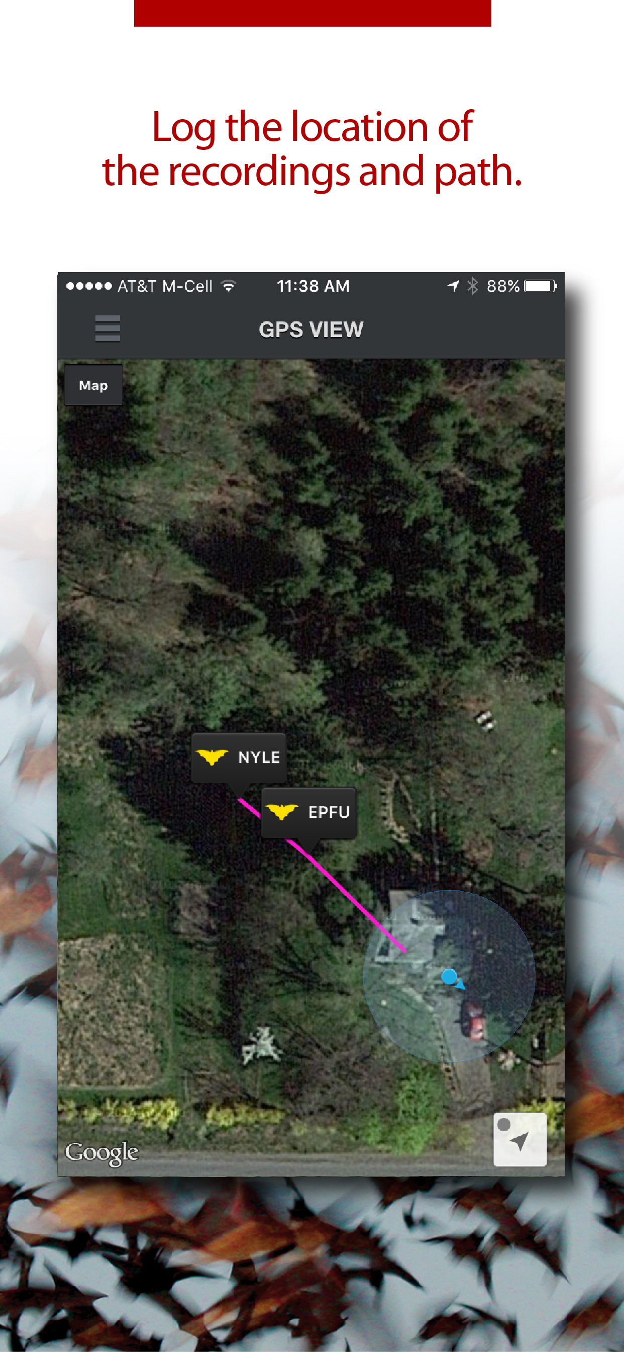 Echo Meter Touch Bat Detector