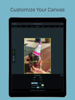 Grid Painter iPad image 2