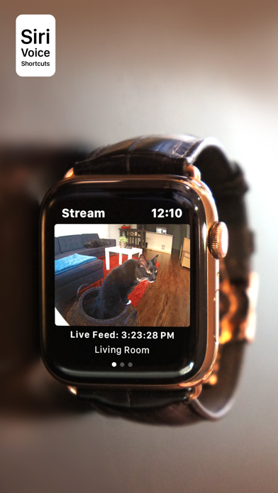 Screenshot #1 pour Watch Cam for Nest Cam