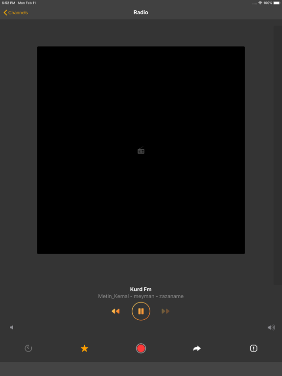 Hêvî TV iPad screenshot 5 - Entertainment app