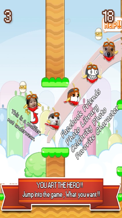 Snappy Chicks : Flappy Friends